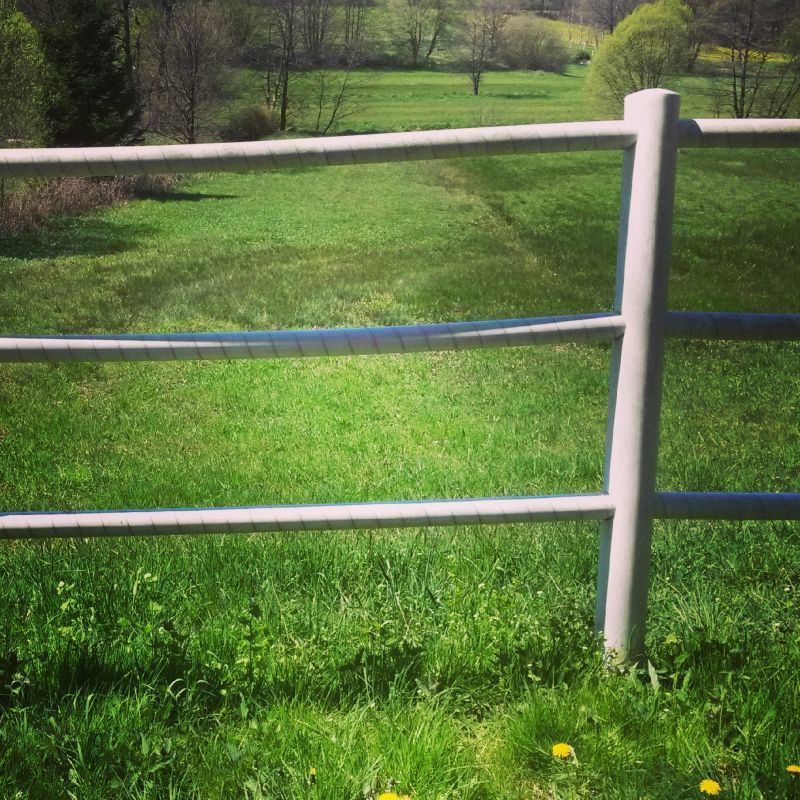Cattle Fencing Installation