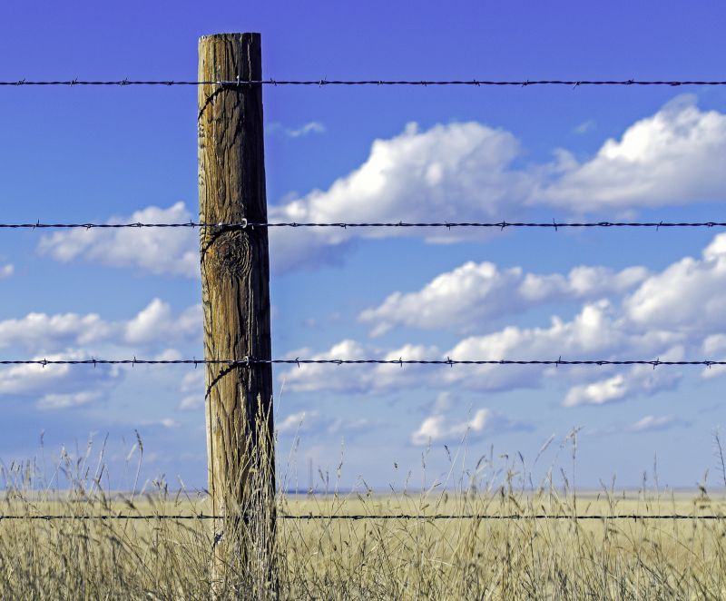 Cattle Fencing Installation