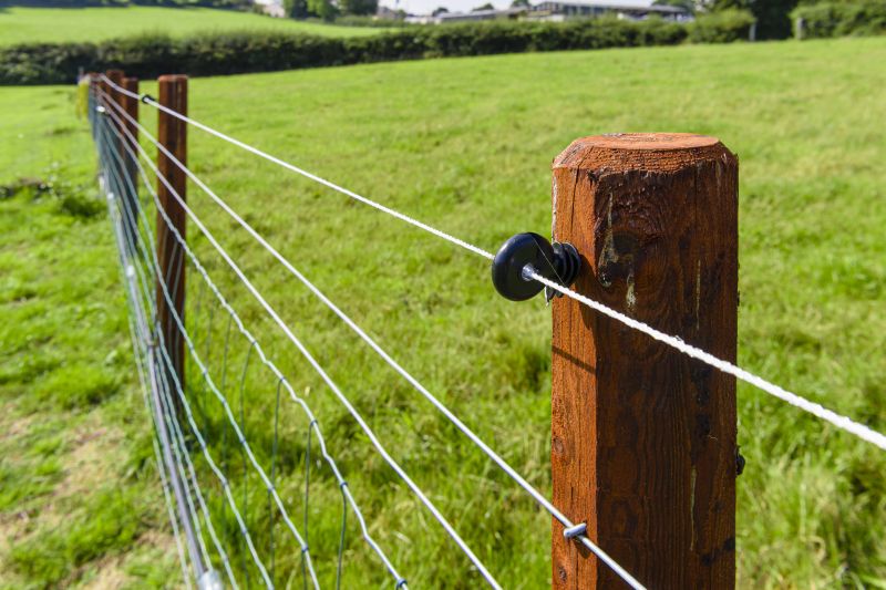 Cattle Fencing Installation