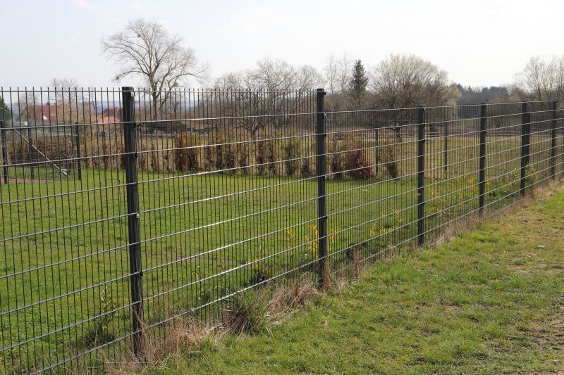 Cattle Fencing Installation