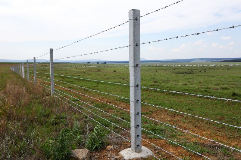 Cattle Fencing Installation