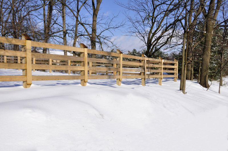 Winter Fencing